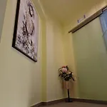 Apartmán Solymar Prive *